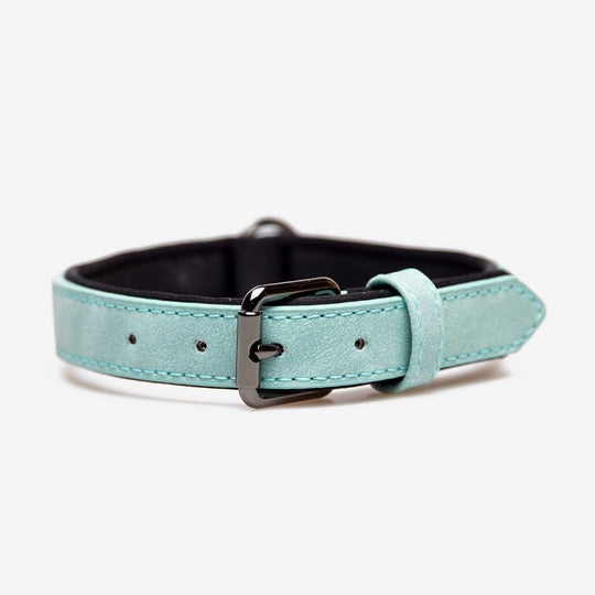 halsband babyblau hellblau aus Leder für grossen Hund