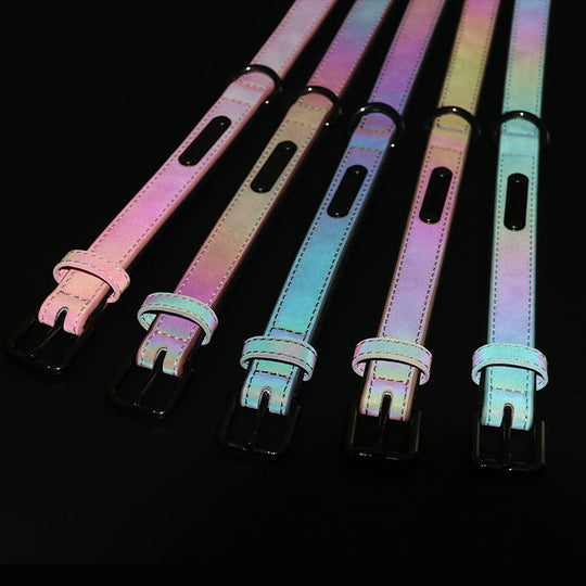 Regenbogenfarben halsband für grosse Hunde