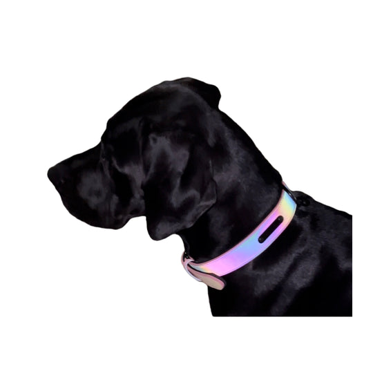 SpaceTec-Reflektorhalsband von Charlotte's Choice (48 cm-58 cm) - pink