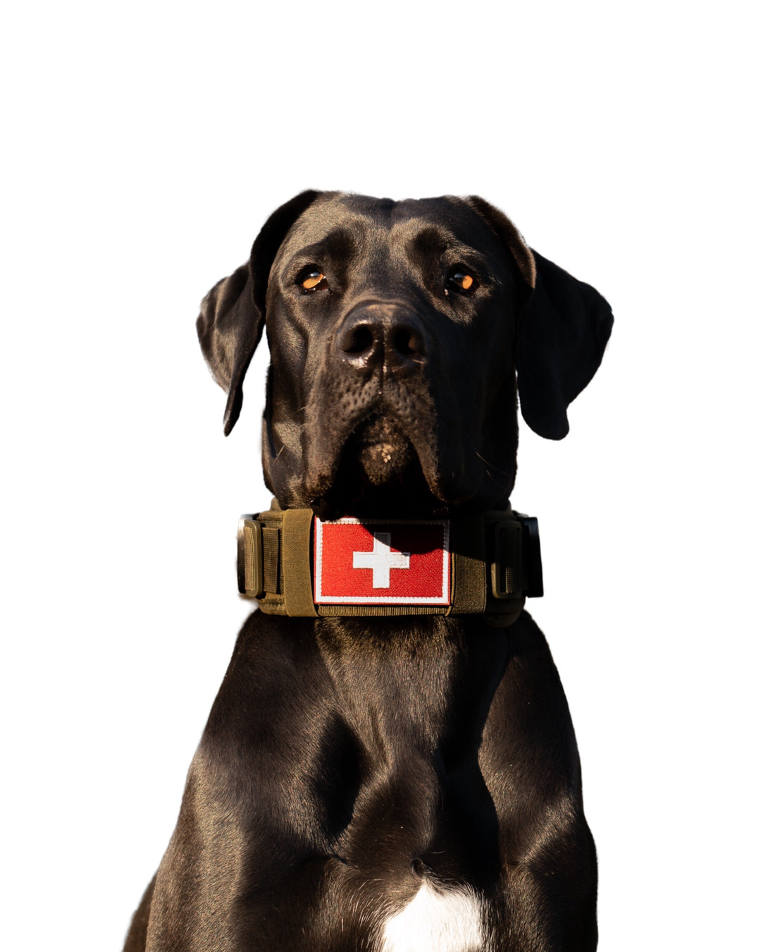 halsband schweizerkreuz