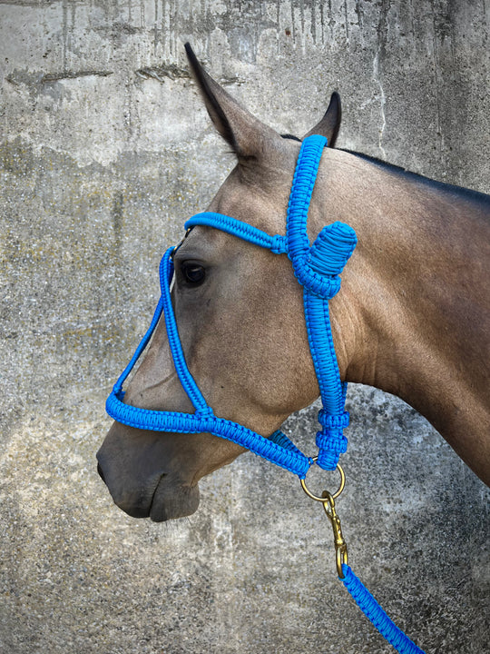 Paracord Luxus Polohalfter