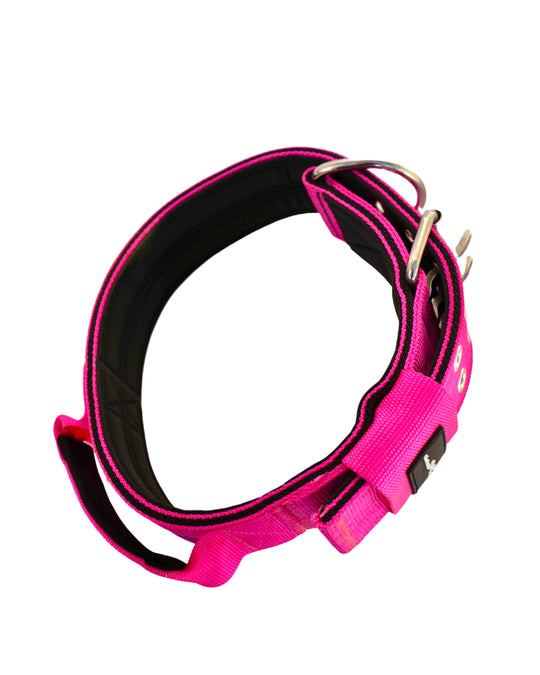 pinkes halsband für sehr grosse hunde