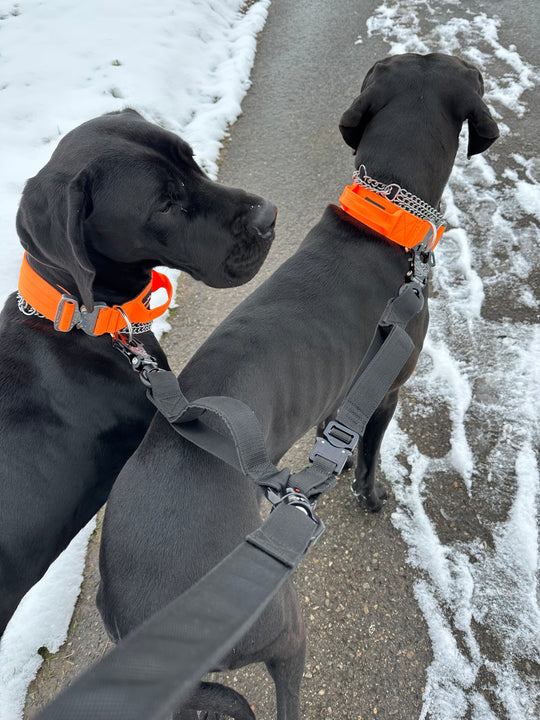 Doppel Leine für sehr starke Hunde