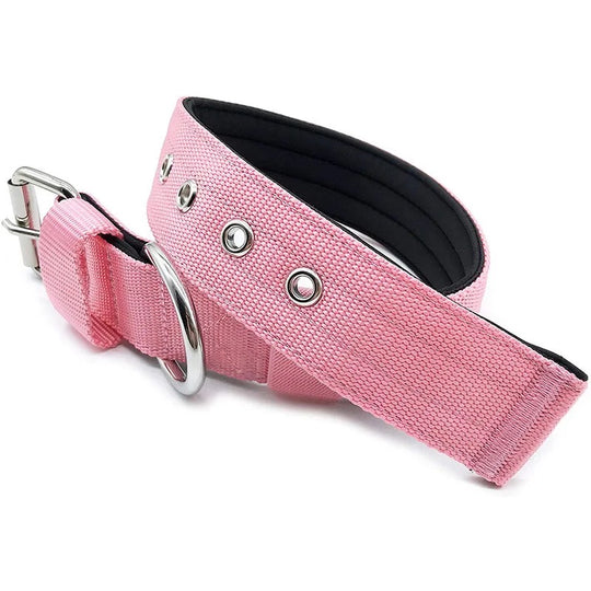 hundehalsband rosa pink