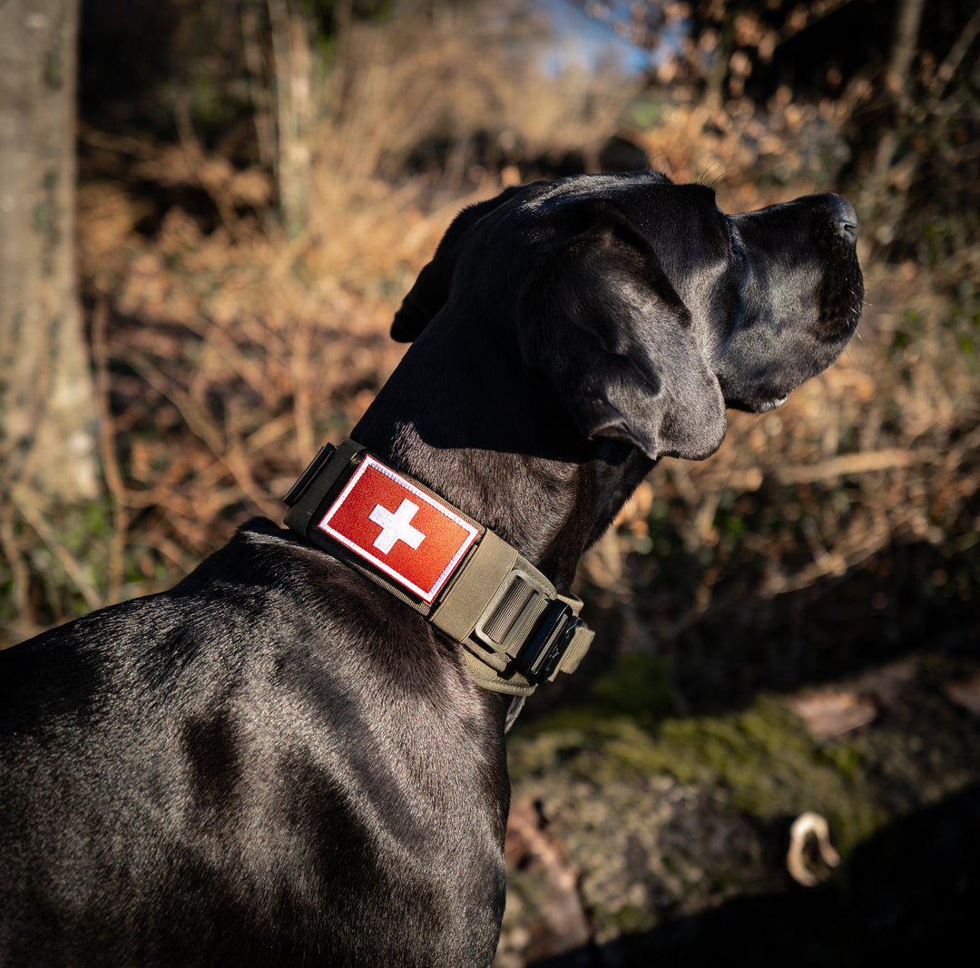 Patches / Flaggen mit Klett
