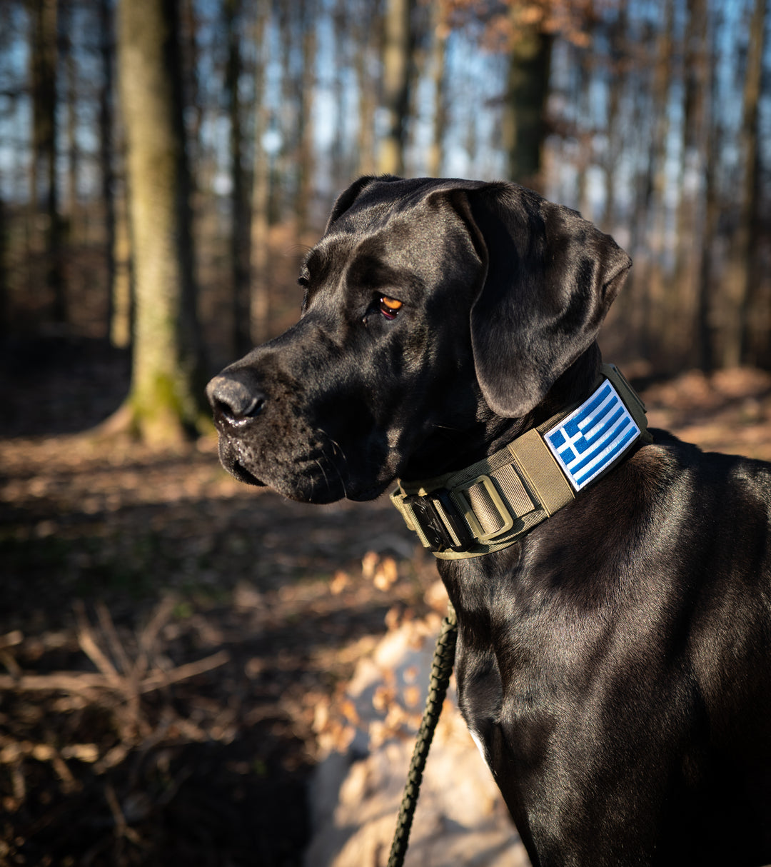 Patches / Flaggen mit Klett