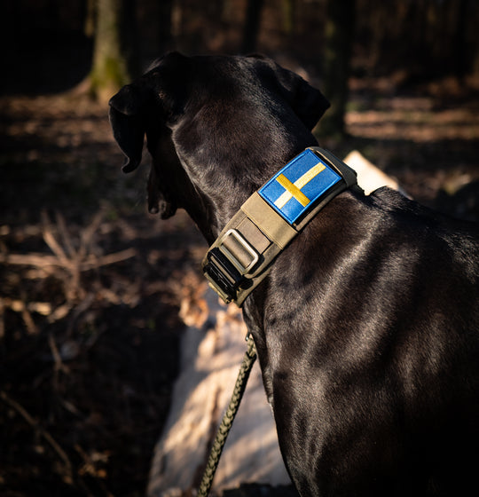 Patches / Flaggen mit Klett