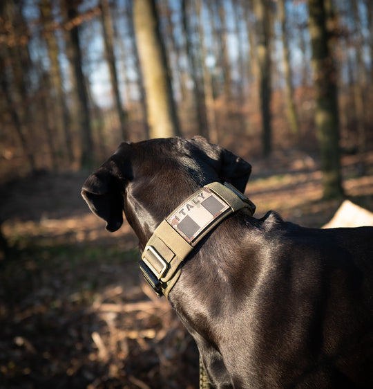 Patches / Flaggen mit Klett