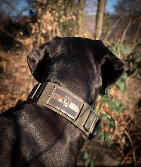 Patches / Flaggen mit Klett