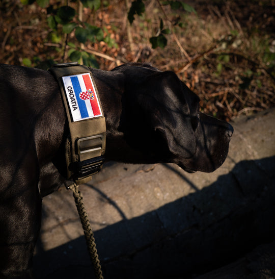 Patches / Flaggen mit Klett