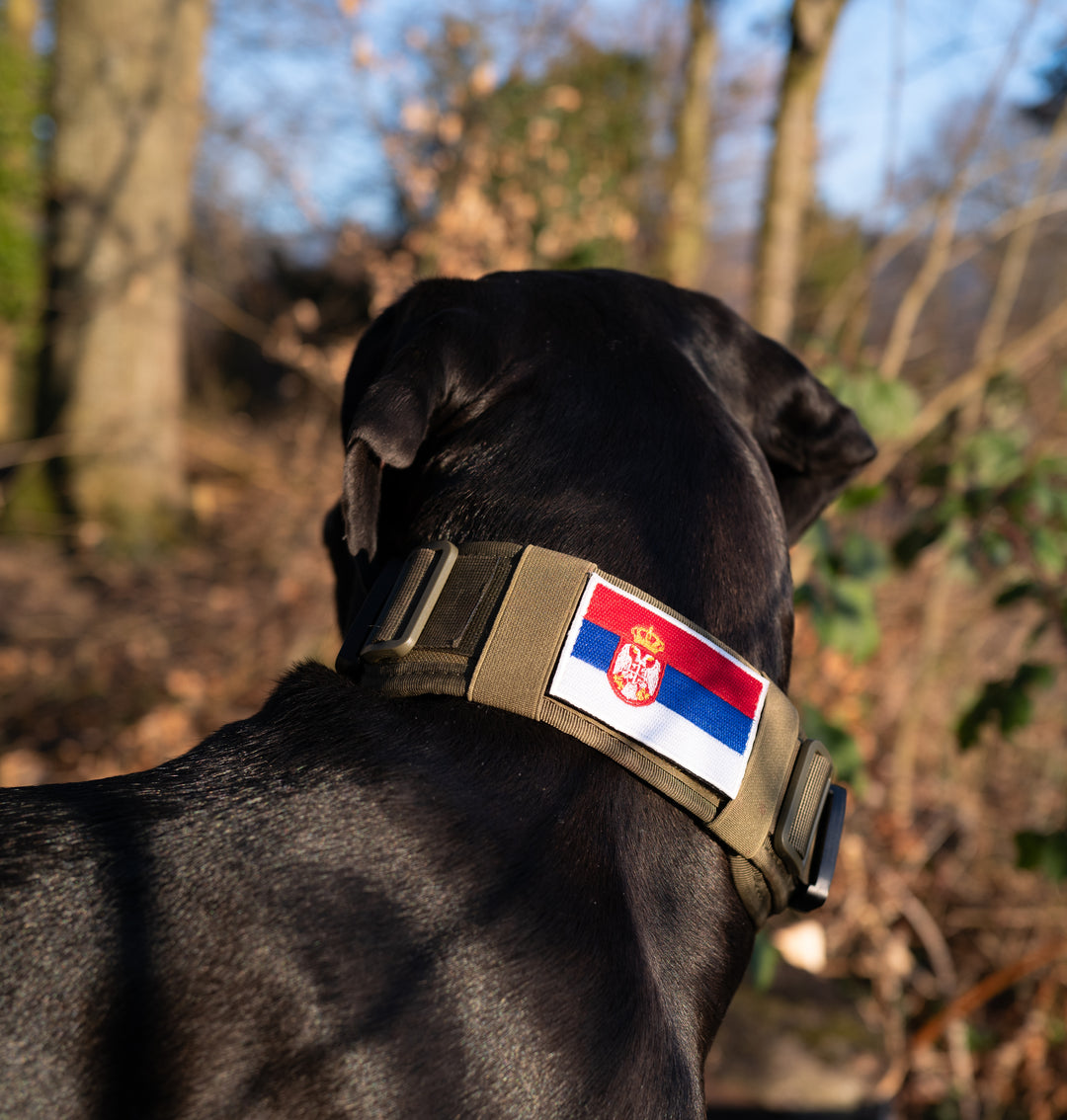 Patches / Flaggen mit Klett