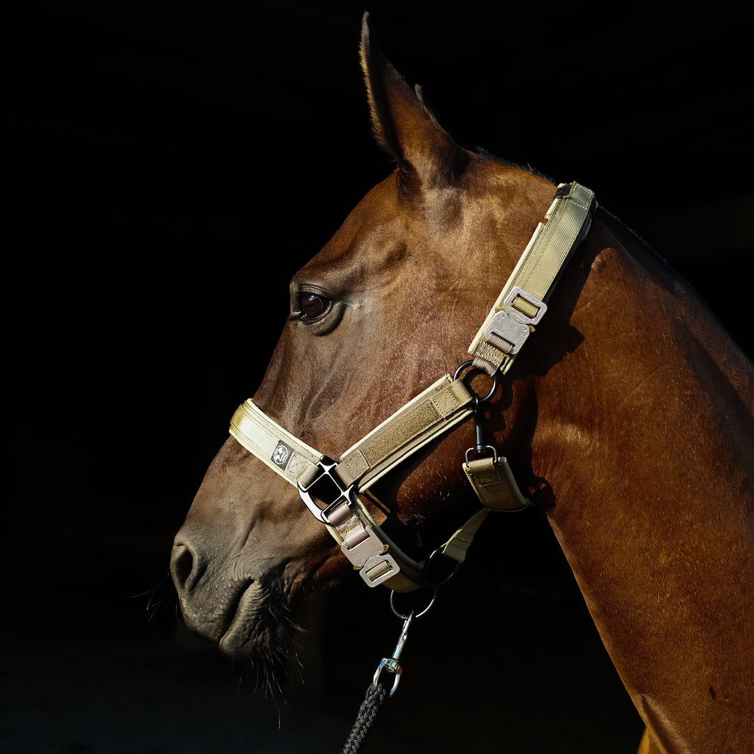 Polohalter in Qualität Schweiz