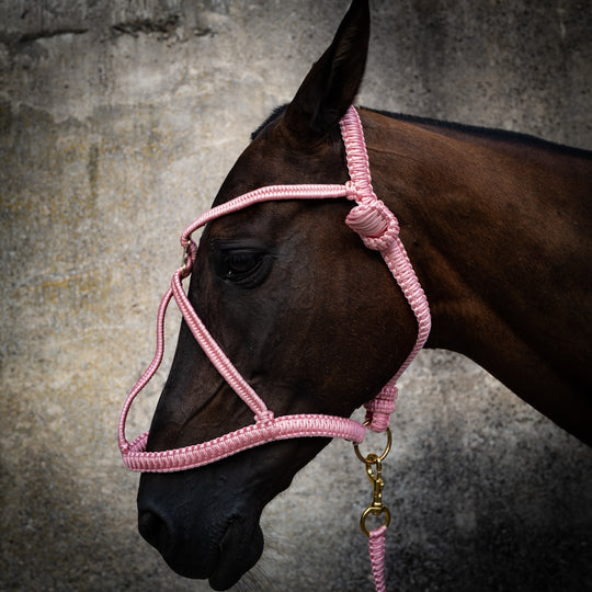 Knotenhalfter pink