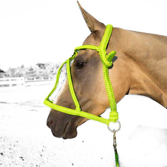 Paracord Luxus Polohalfter