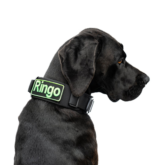 namenpatch halsband  hund