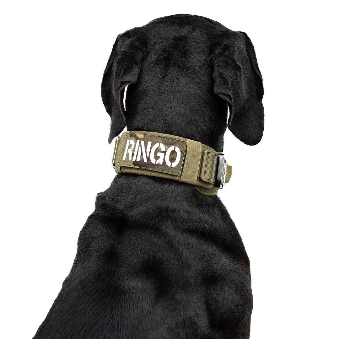 Halsband mit Namen