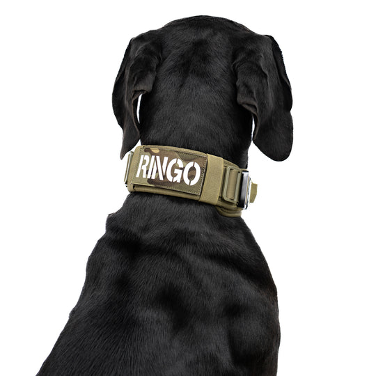 Halsband mit Namen