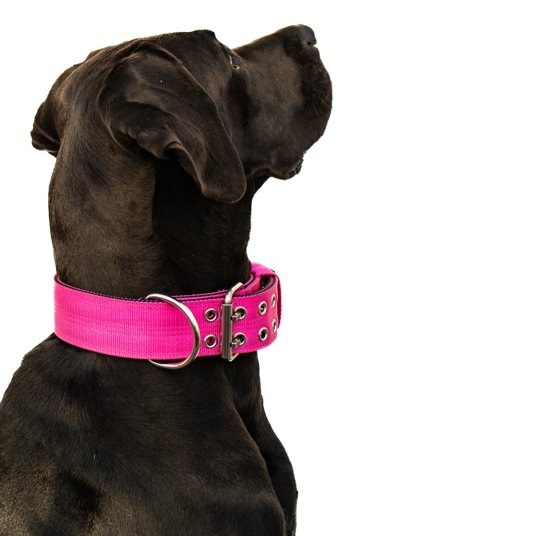 neon pink halsband breiter hals