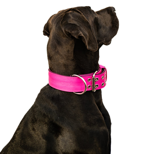 grosses halsband pink