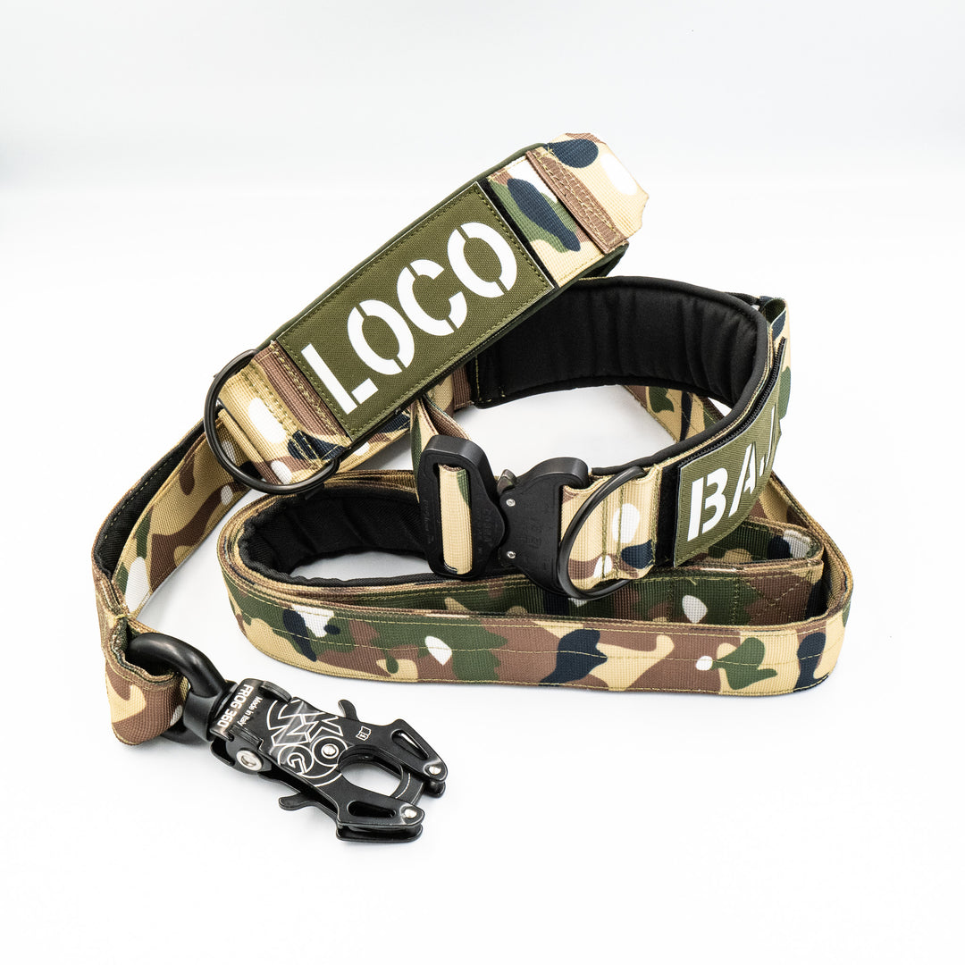 4 cm breite Leinen mit Frog 360 personalisiert