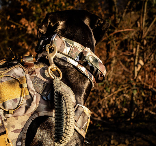 hunde geschirr camouflage militärhunde