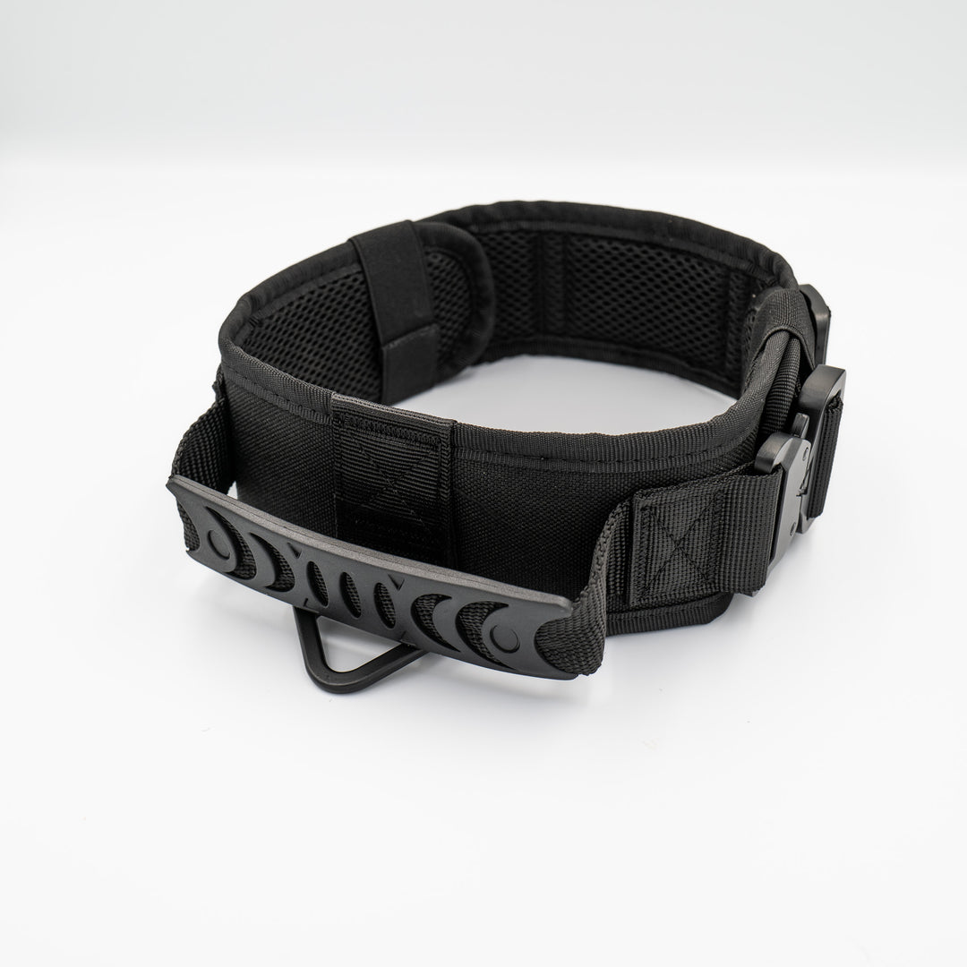 hundeschule halsband