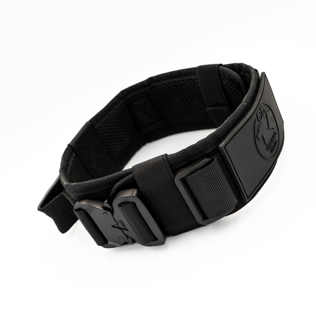 halsband hund zieht an leine