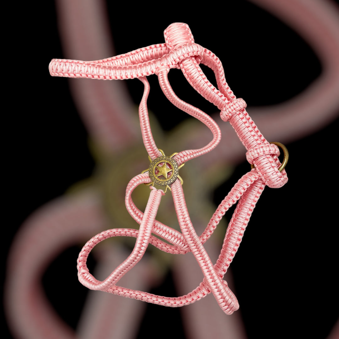 Paracord Luxus Polohalfter