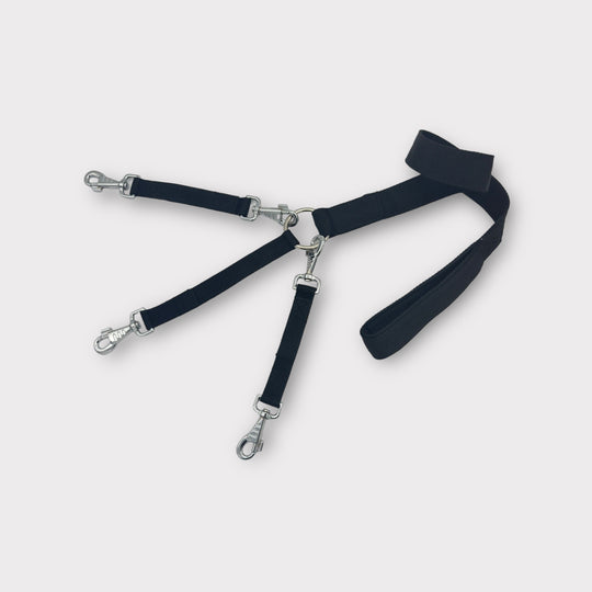 Leine 2.5 cm für 2-3 Hunde - schwarz