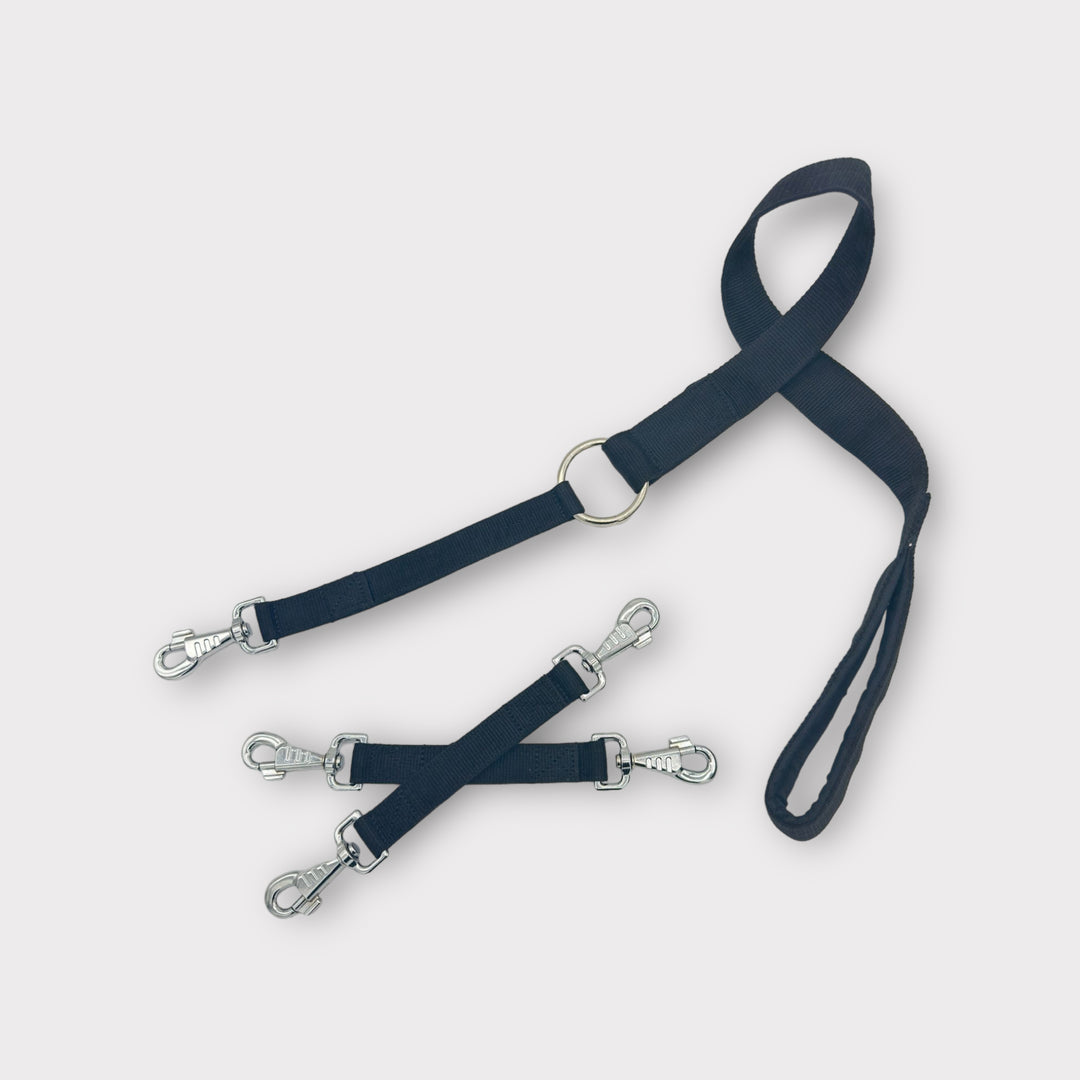 Leine 2.5 cm für 2-3 Hunde - schwarz