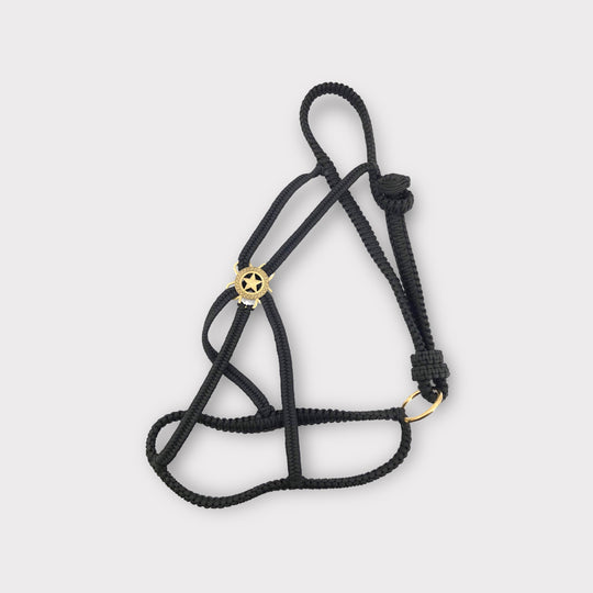Paracord Luxus Polohalfter