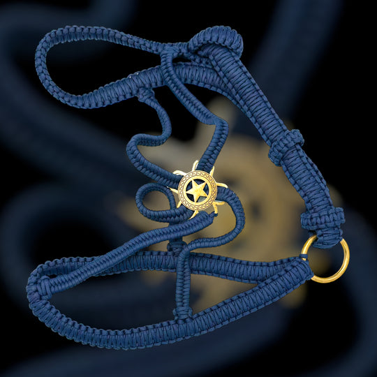 Paracord Luxus Polohalfter