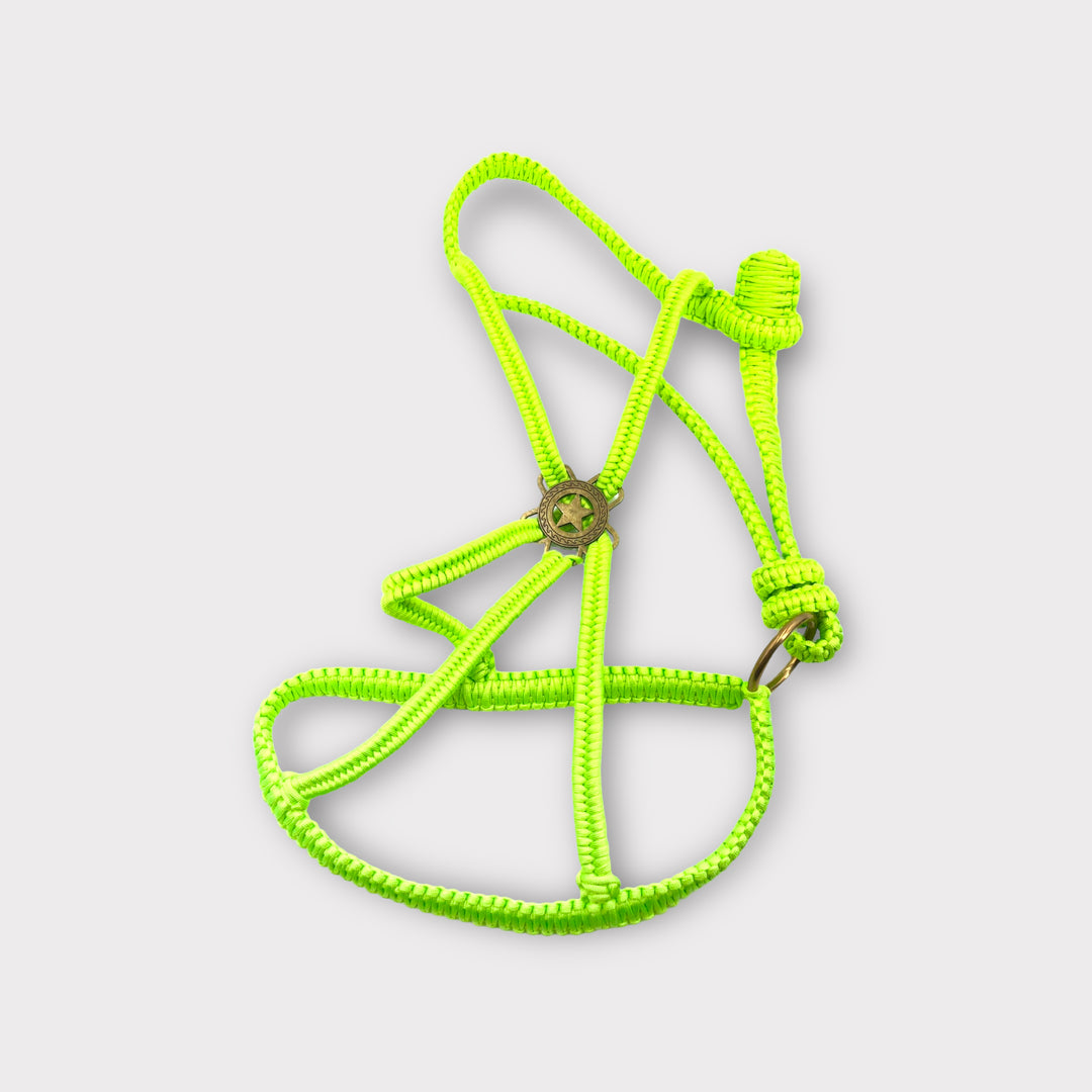 Paracord Luxus Polohalfter