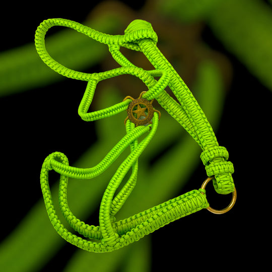 Paracord Luxus Polohalfter
