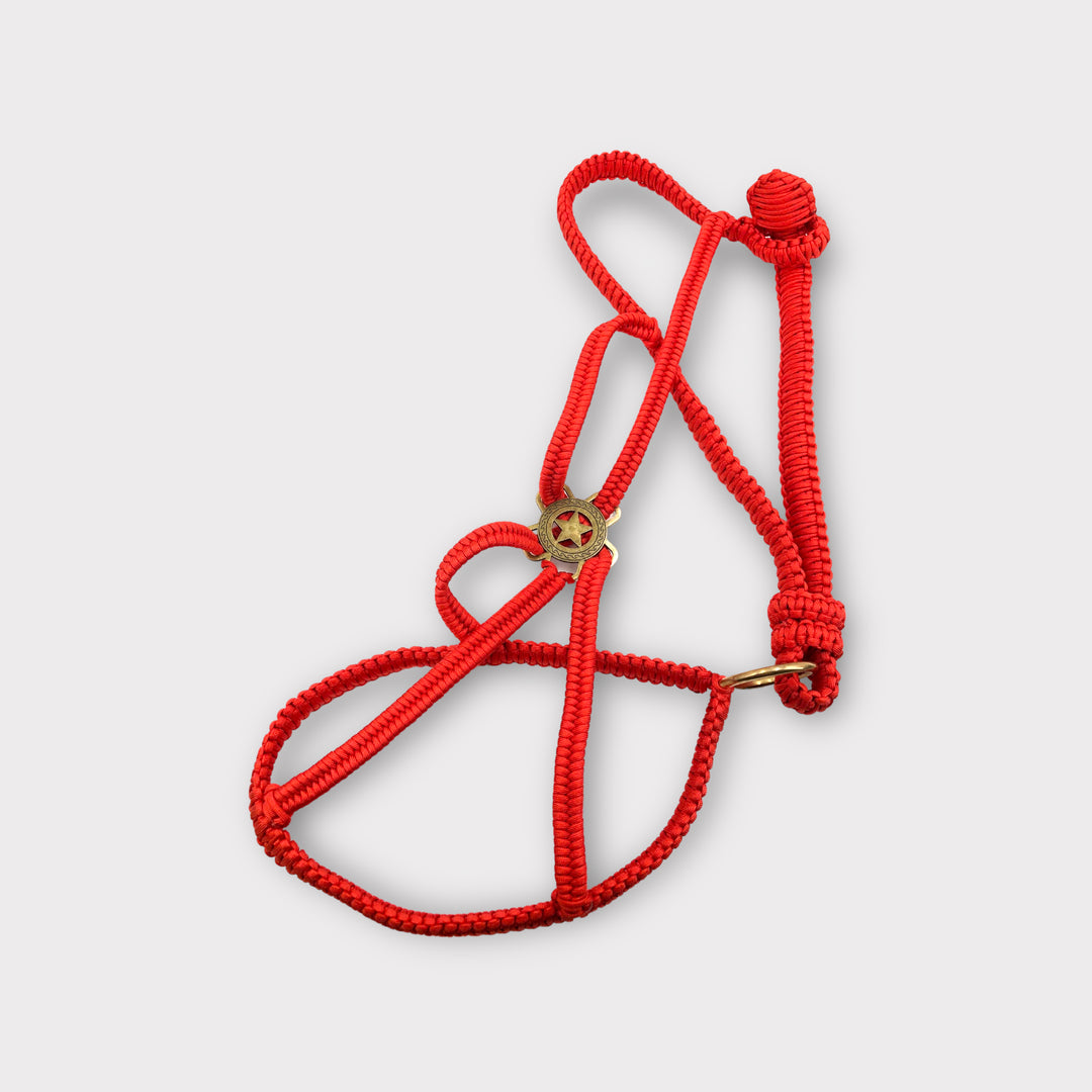 Paracord Luxus Polohalfter
