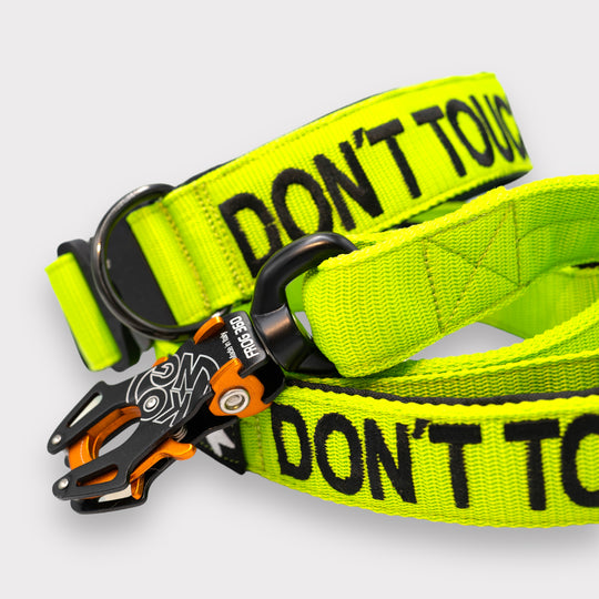 4 cm breite Leinen mit Frog 360 personalisiert