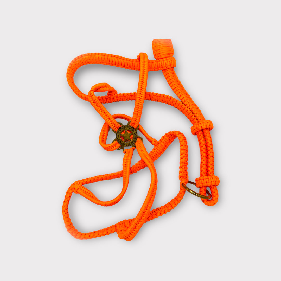Paracord Luxus Polohalfter