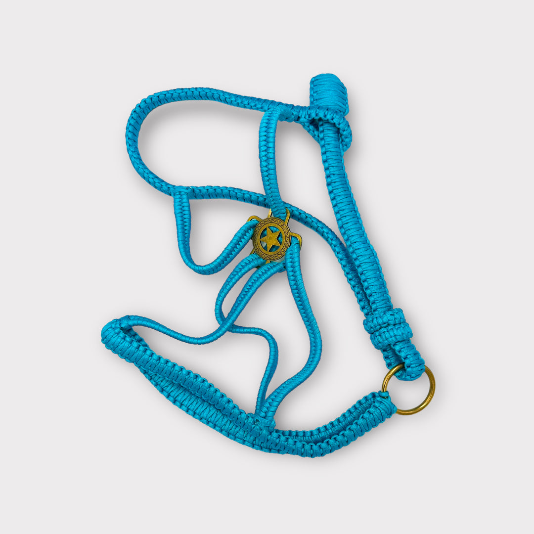Paracord Luxus Polohalfter