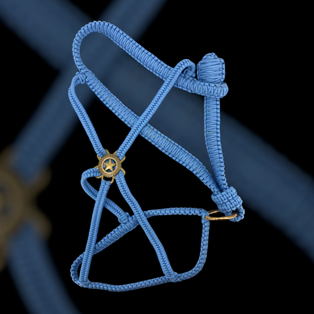 Paracord Luxus Polohalfter
