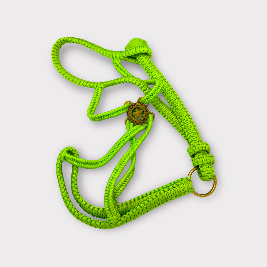 Paracord Luxus Polohalfter
