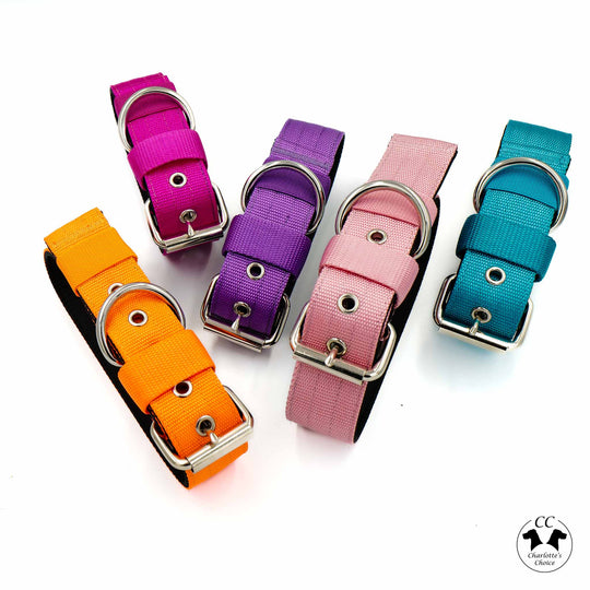 halsband für kleine hunde