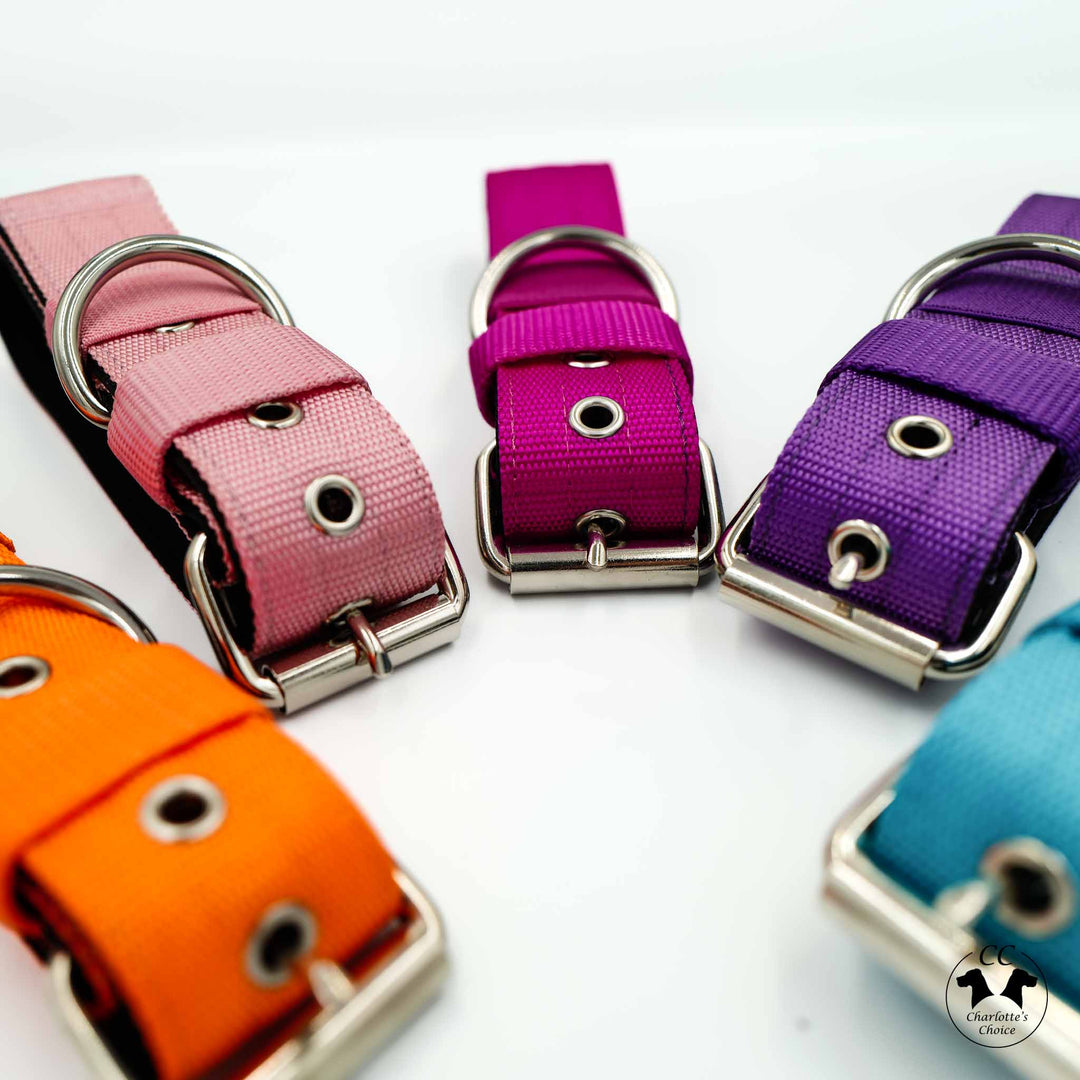halsband 4cm breit grosse hunde