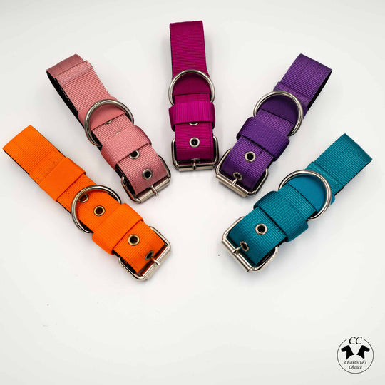 halsband orange breit