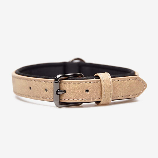 SpaceTec-Reflektorhalsband von Charlotte's Choice (24 cm-62 cm) - beige