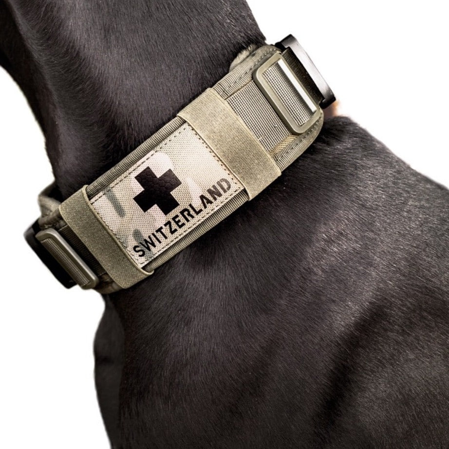 Breites Halsband mit griff für grosse Hunde