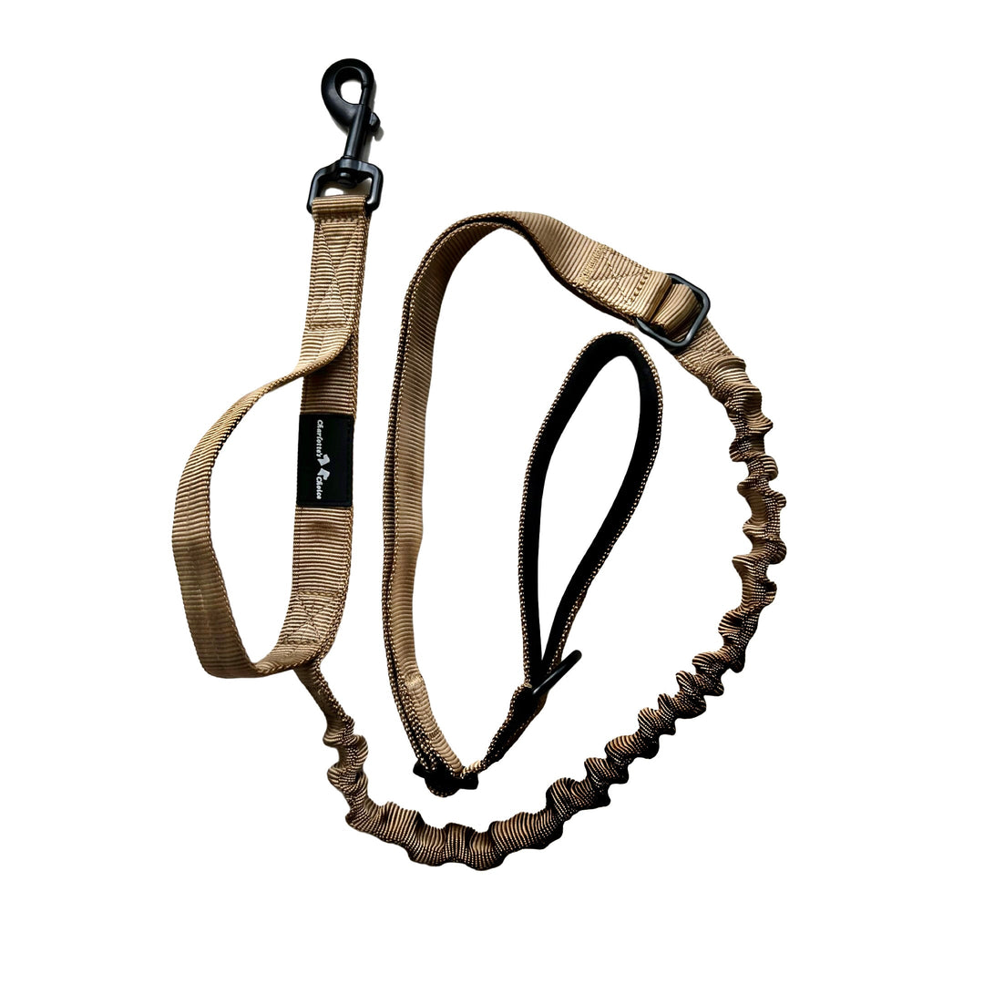 Bungee Leine mit elastischem Abschnitt (halsschonend) - schwarz/army-grün/desert-beige
