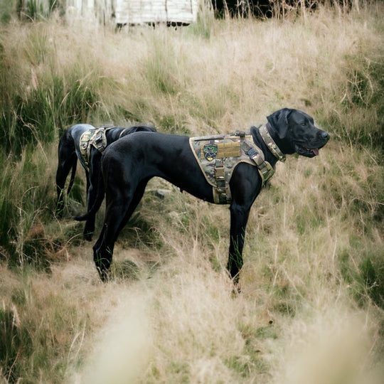 Alltrail CC-K9 Eco light Hundegeschirr  - camouflage nur noch Grösse XL