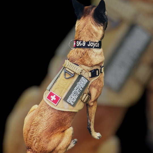 Alltrail CC-K9 Eco light Hundegeschirr - schwarz