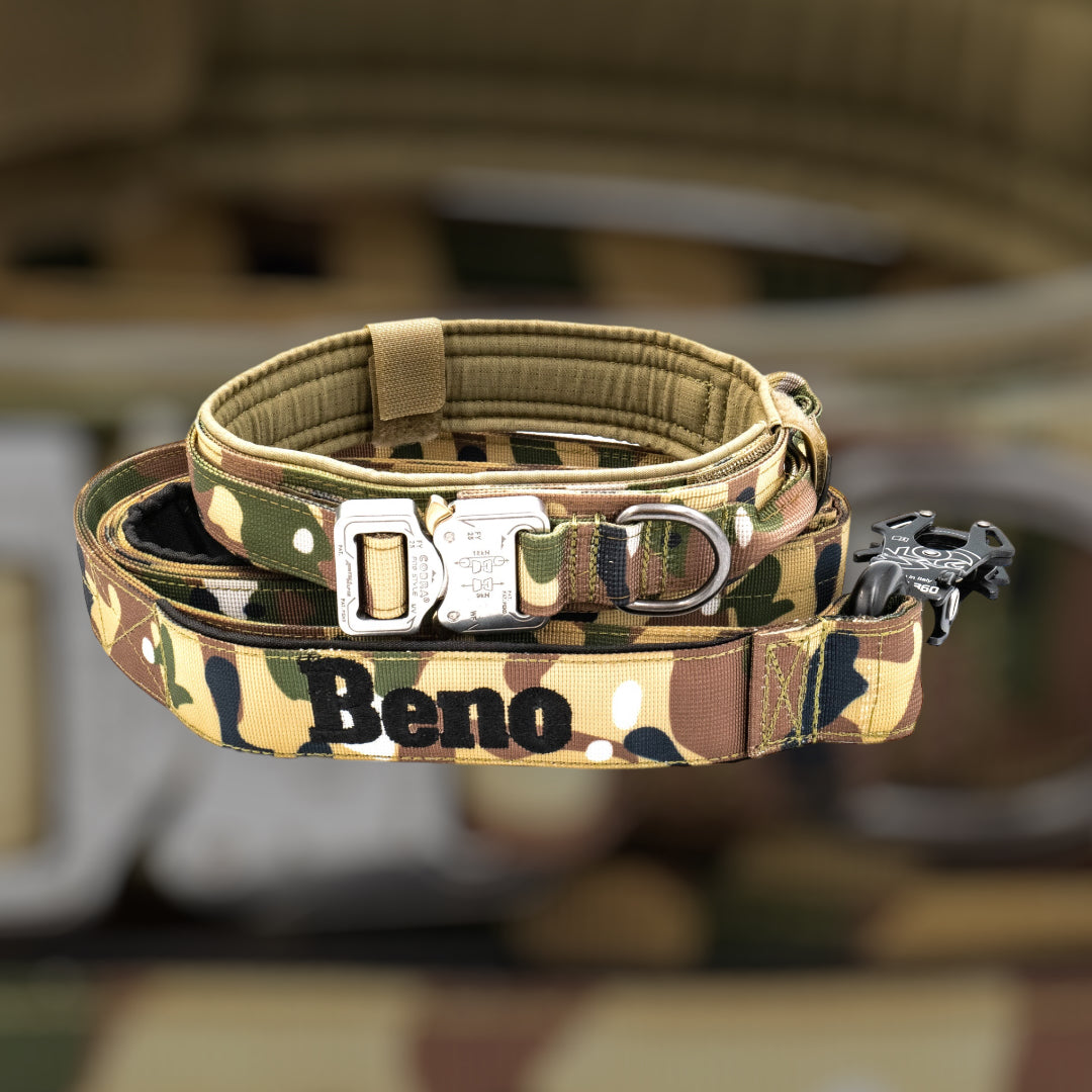 4 cm breite Leinen mit Frog 360 personalisiert
