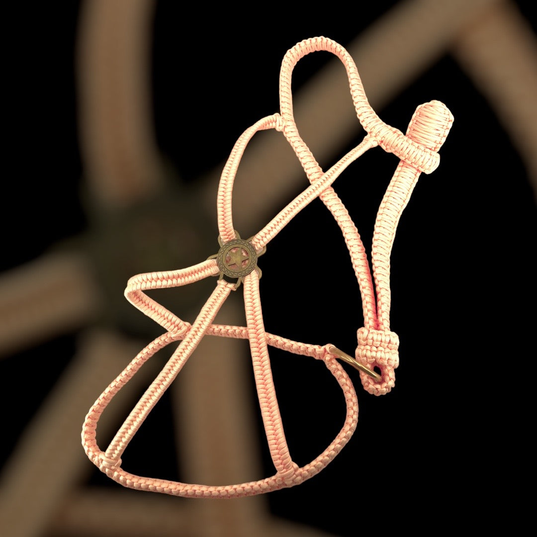 Paracord Luxus Polohalfter